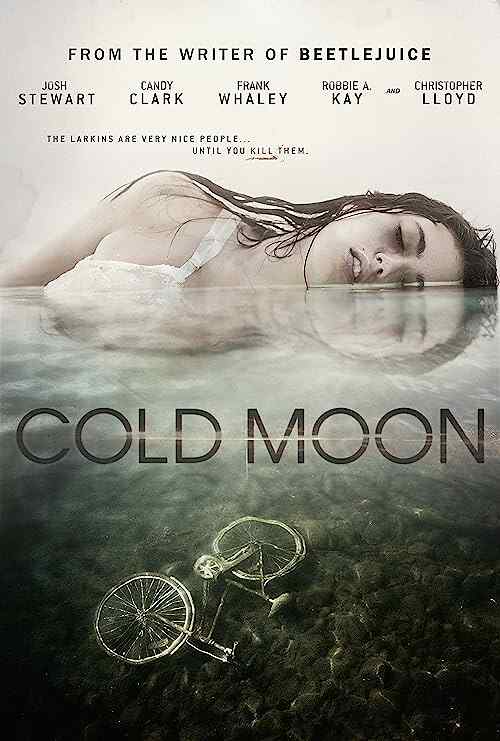 Cold Moon poster