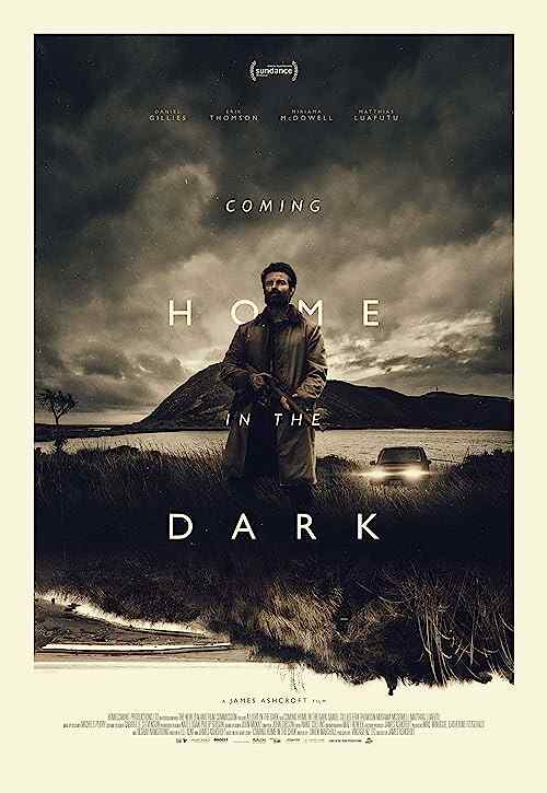 Coming Home in the Dark poster