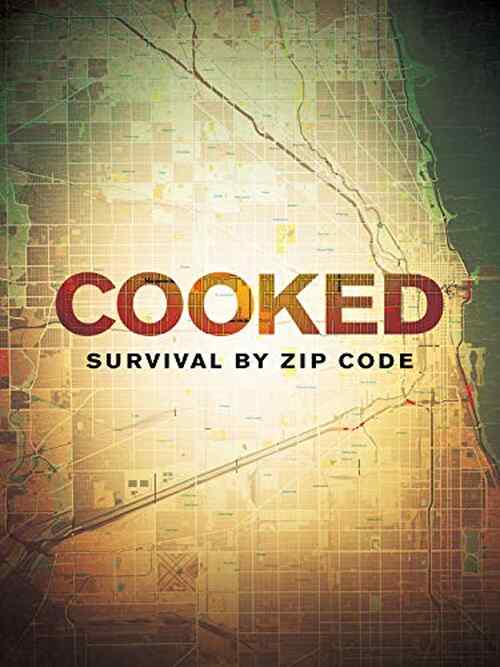 Cooked: Survival by Zip Code poster