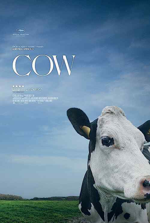 Cow poster