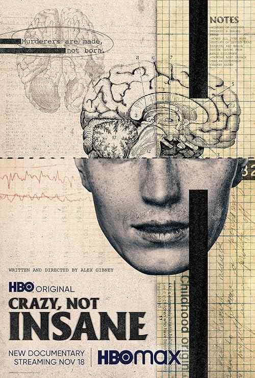 Crazy, Not Insane poster