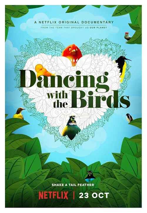 Dancing with the Birds poster