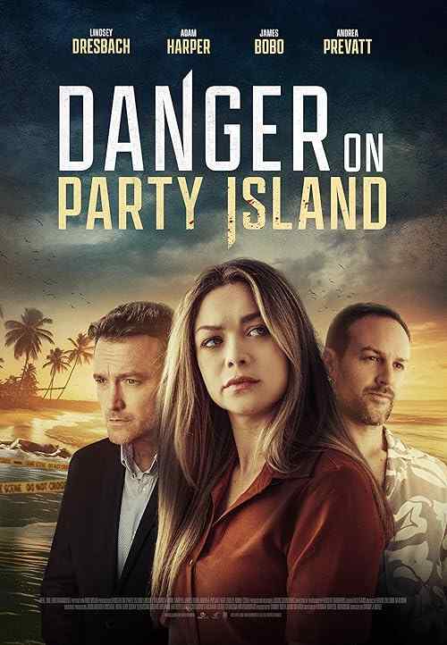 Danger on Party Island poster