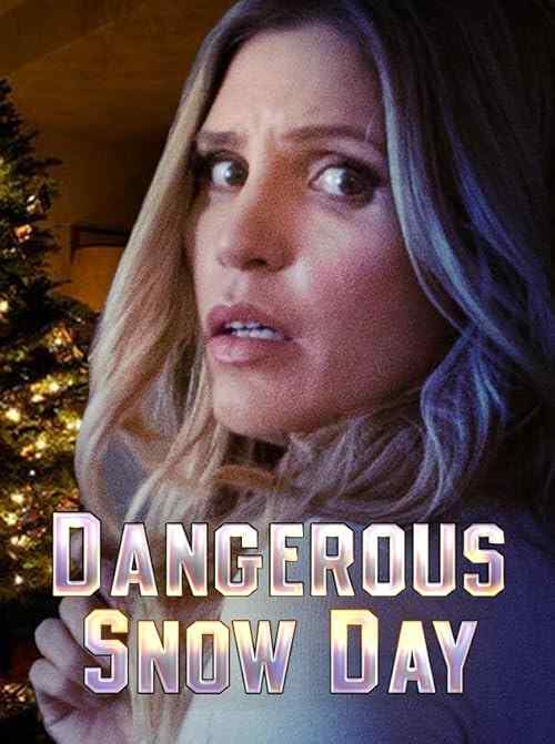 Dangerous Snow Day poster