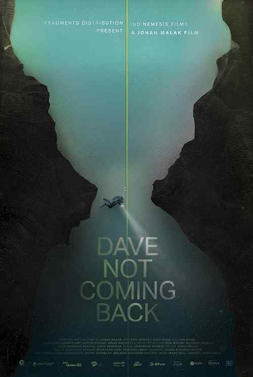 Dave Not Coming Back poster