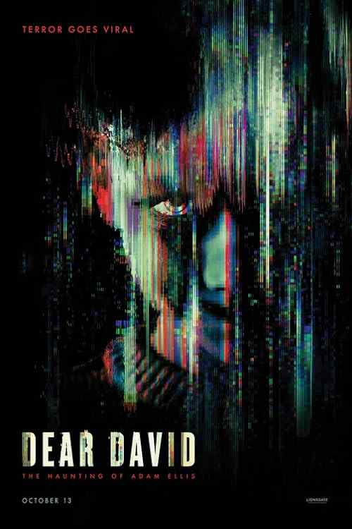 Dear David poster