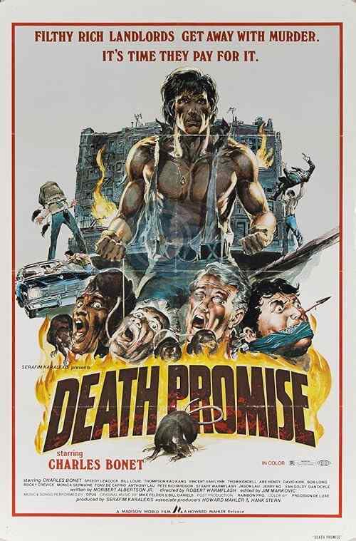 Death Promise poster
