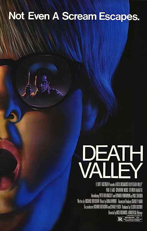 Death Valley poster