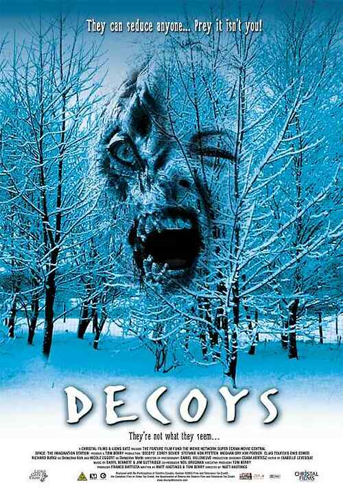 Decoys poster