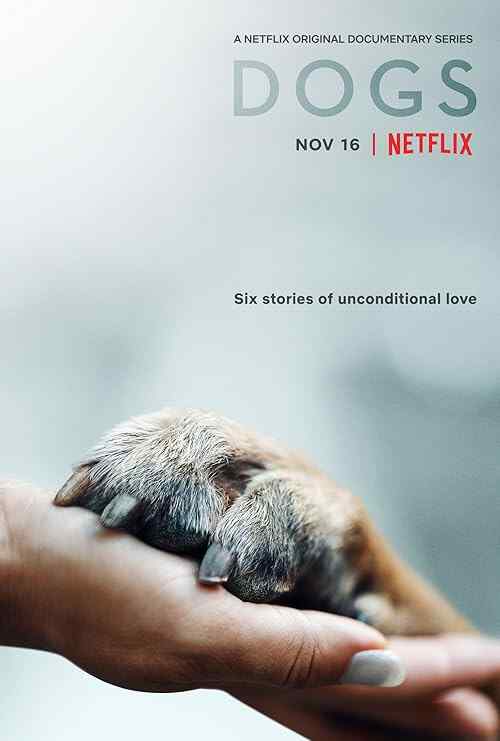 Dogs poster