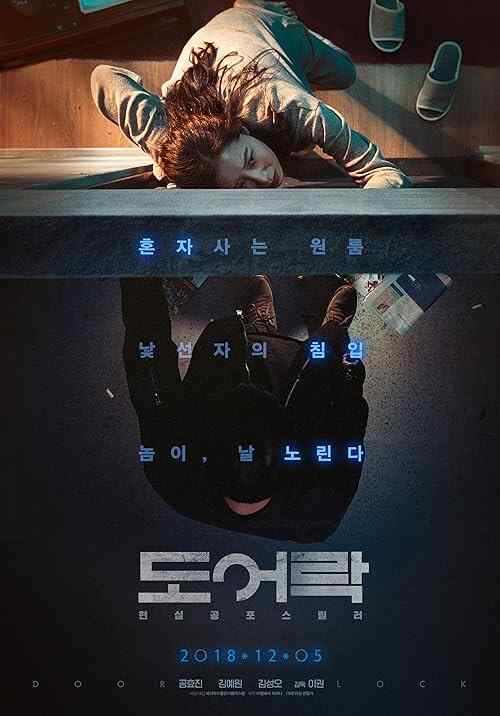 Door Lock poster