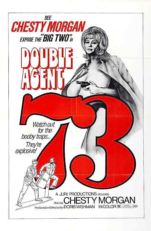 Double Agent 73 poster
