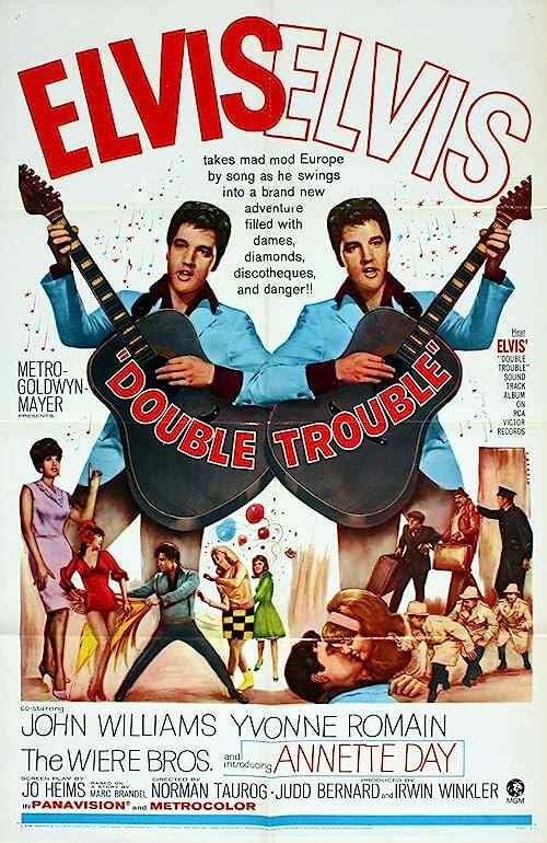 Double Trouble poster