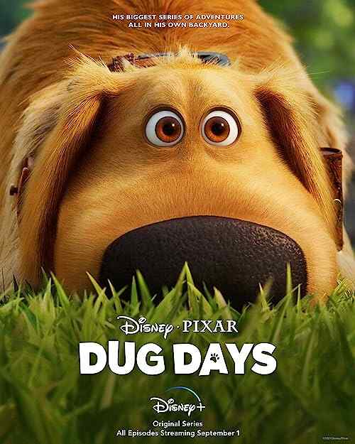 Dug Days poster