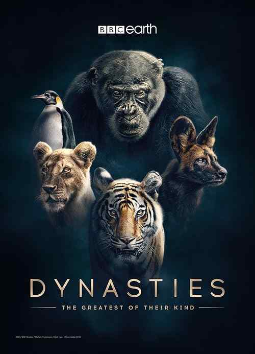 Dynasties poster
