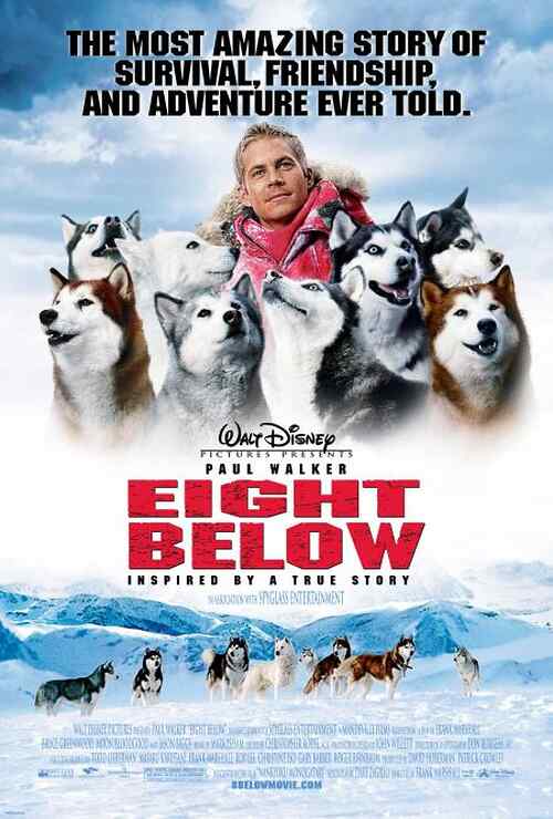 Eight Below poster