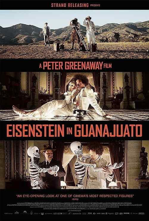 Eisenstein in Guanajuato poster