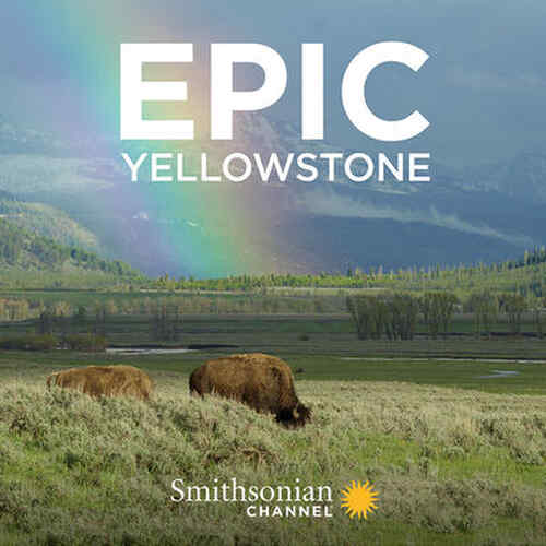 Epic Yellowstone poster