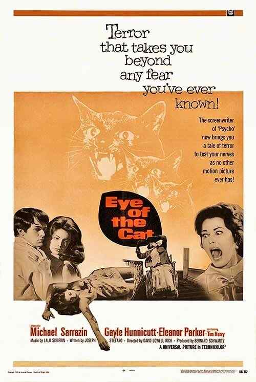 Eye of the Cat poster