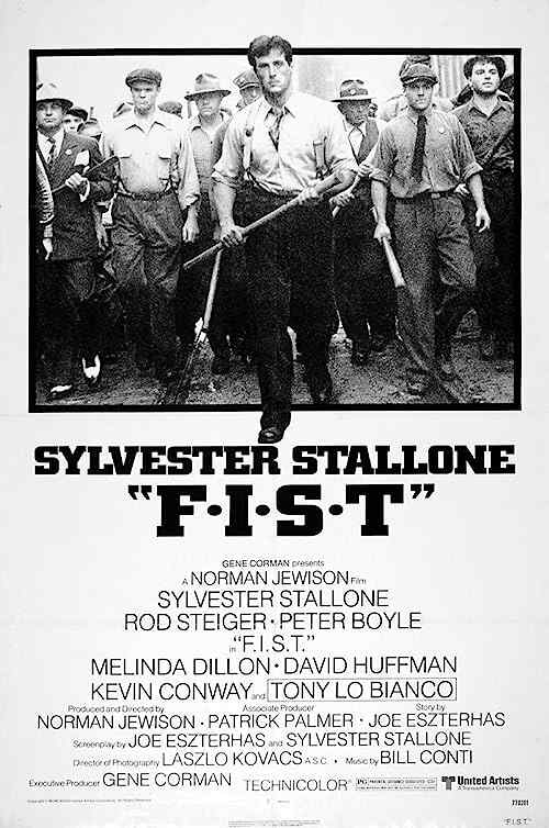 F I S T poster