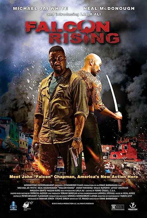 Falcon Rising poster