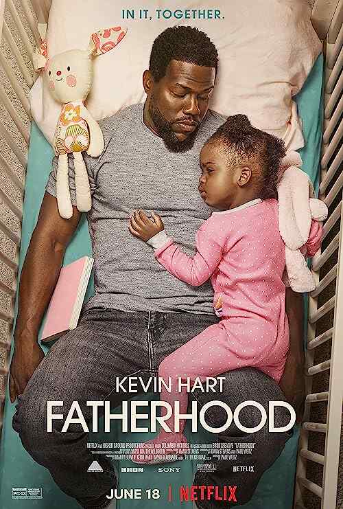 Fatherhood poster