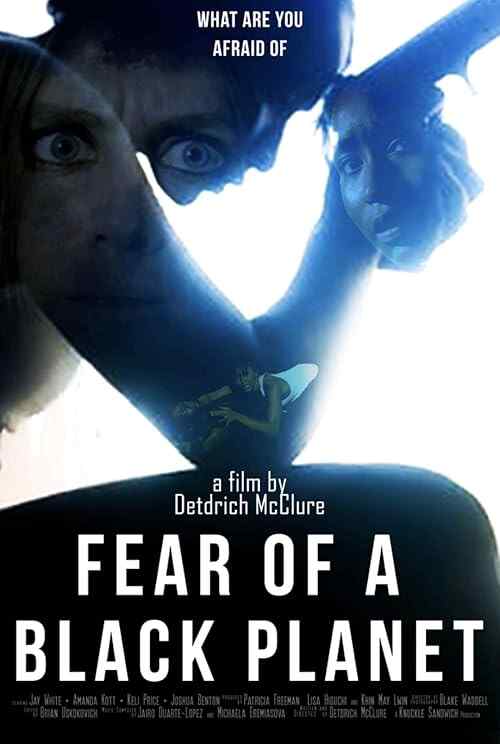 Fear of a Black Planet poster