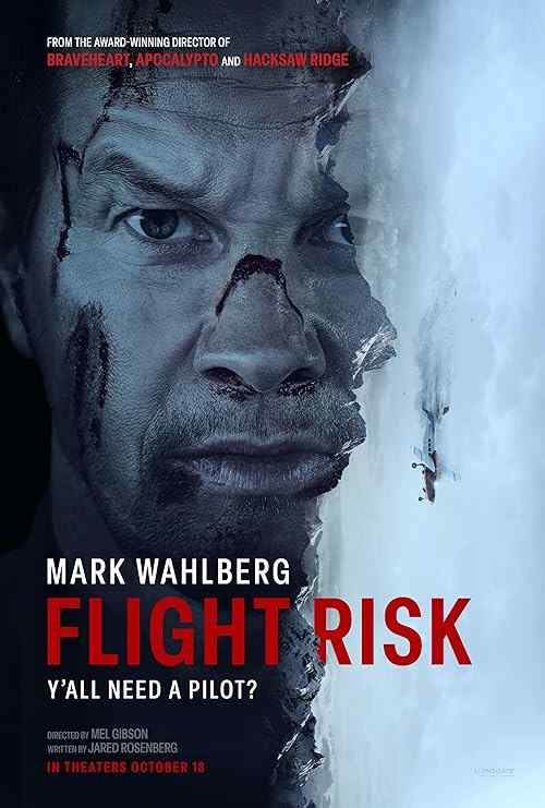 Flight Risk poster