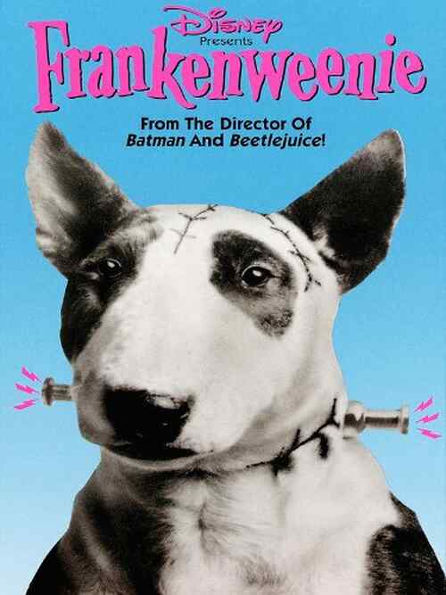 Frankenweenie poster