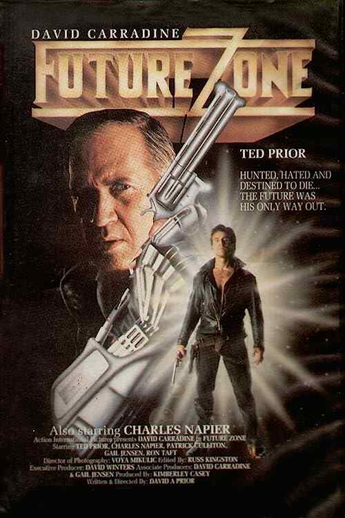 Future Zone poster