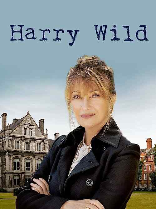 Harry Wild poster