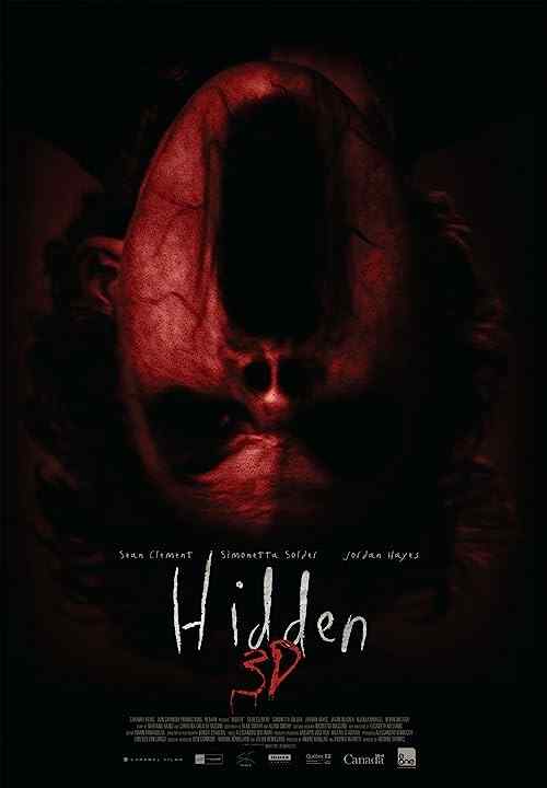 Hidden 3D poster