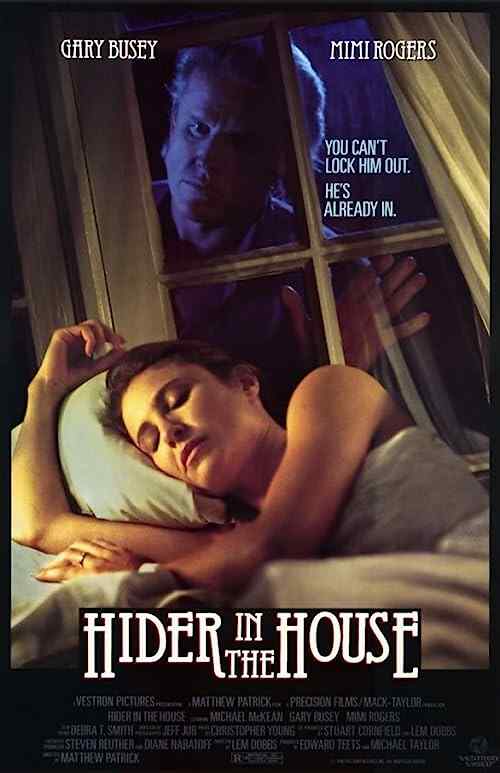 Hider in the House poster