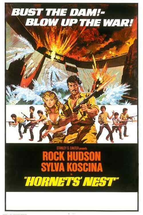 Hornets' Nest poster