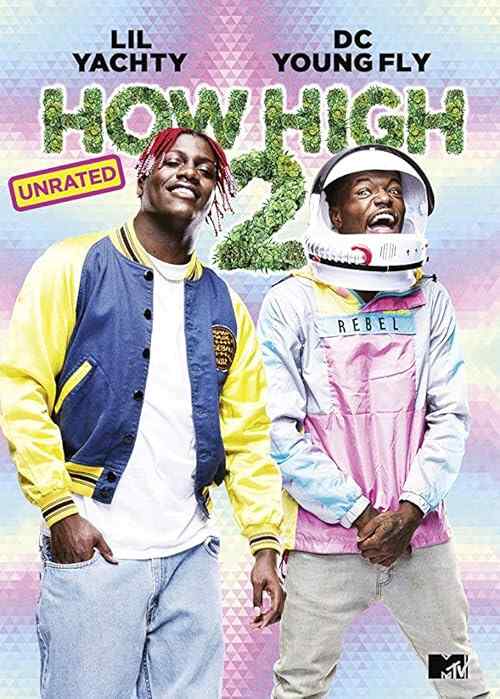 How High 2 poster