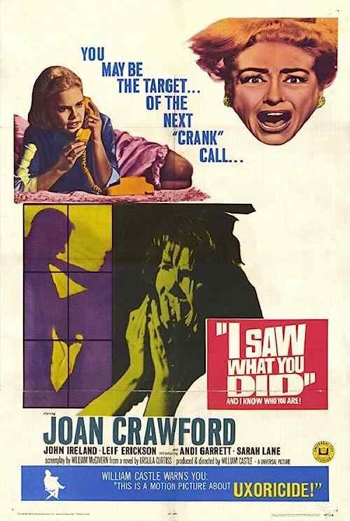 I Saw What You Did poster