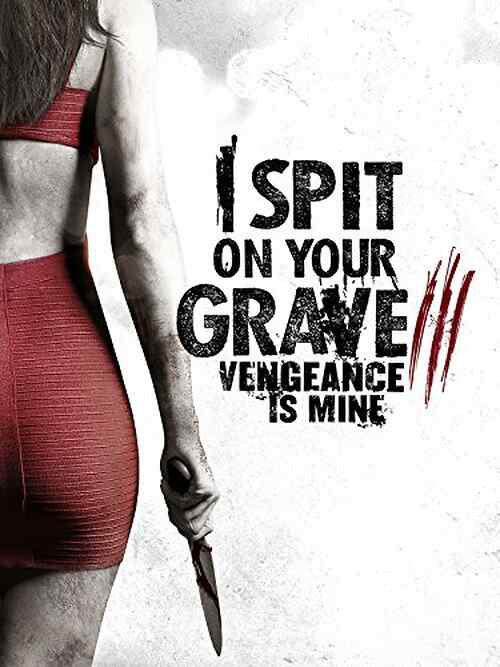 I Spit on Your Grave III: Vengeance is Mine poster