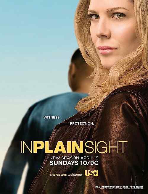 In Plain Sight poster