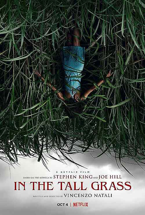 In the Tall Grass poster