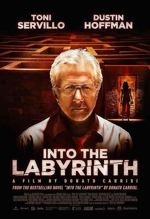 Into the Labyrinth poster