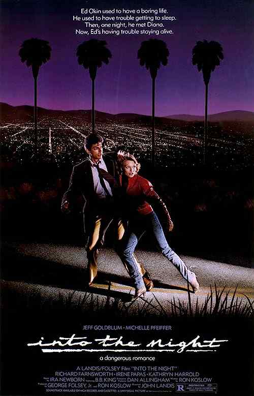 Into the Night poster