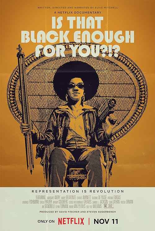 Is That Black Enough for You?!? poster