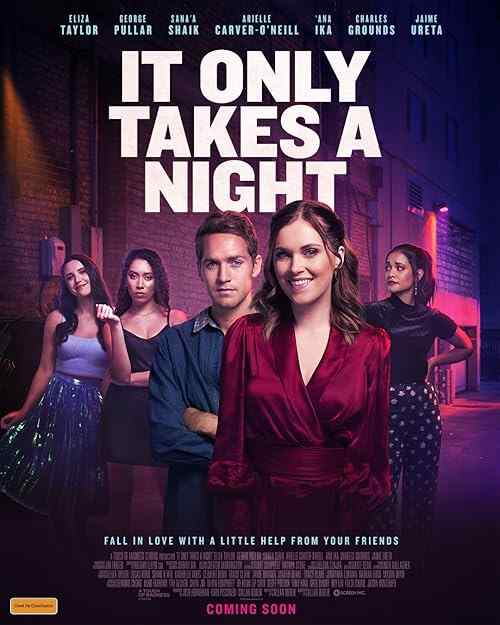It Only Takes a Night poster