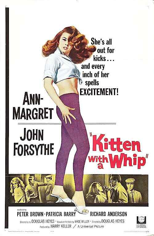 Kitten with a Whip poster