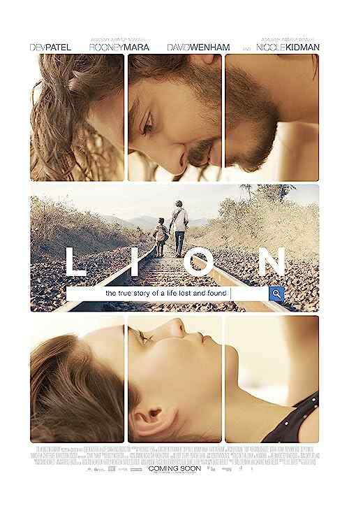 Lion poster