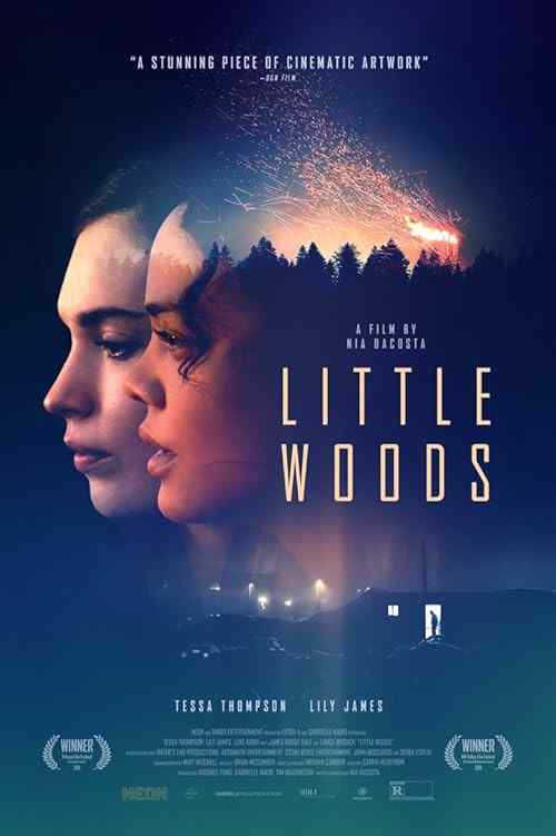 Little Woods poster