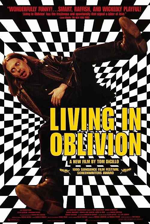 Living in Oblivion poster