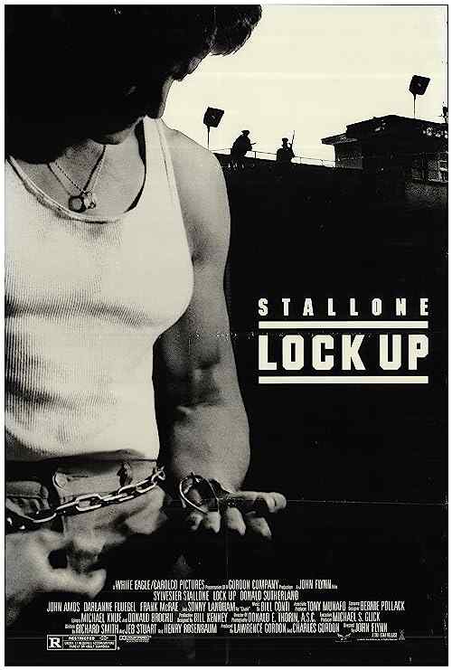Lock Up poster