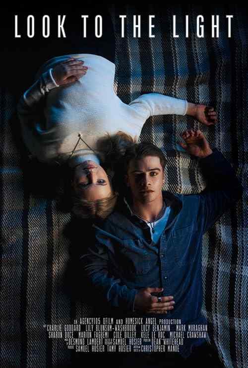 Look to the Light poster