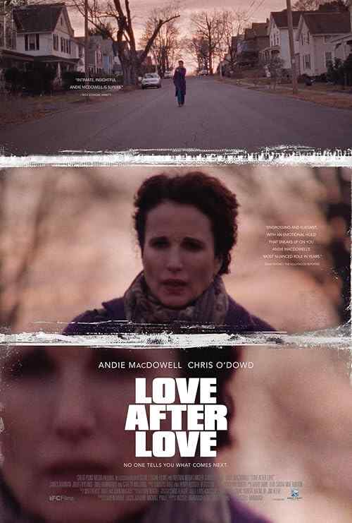 Love After Love poster
